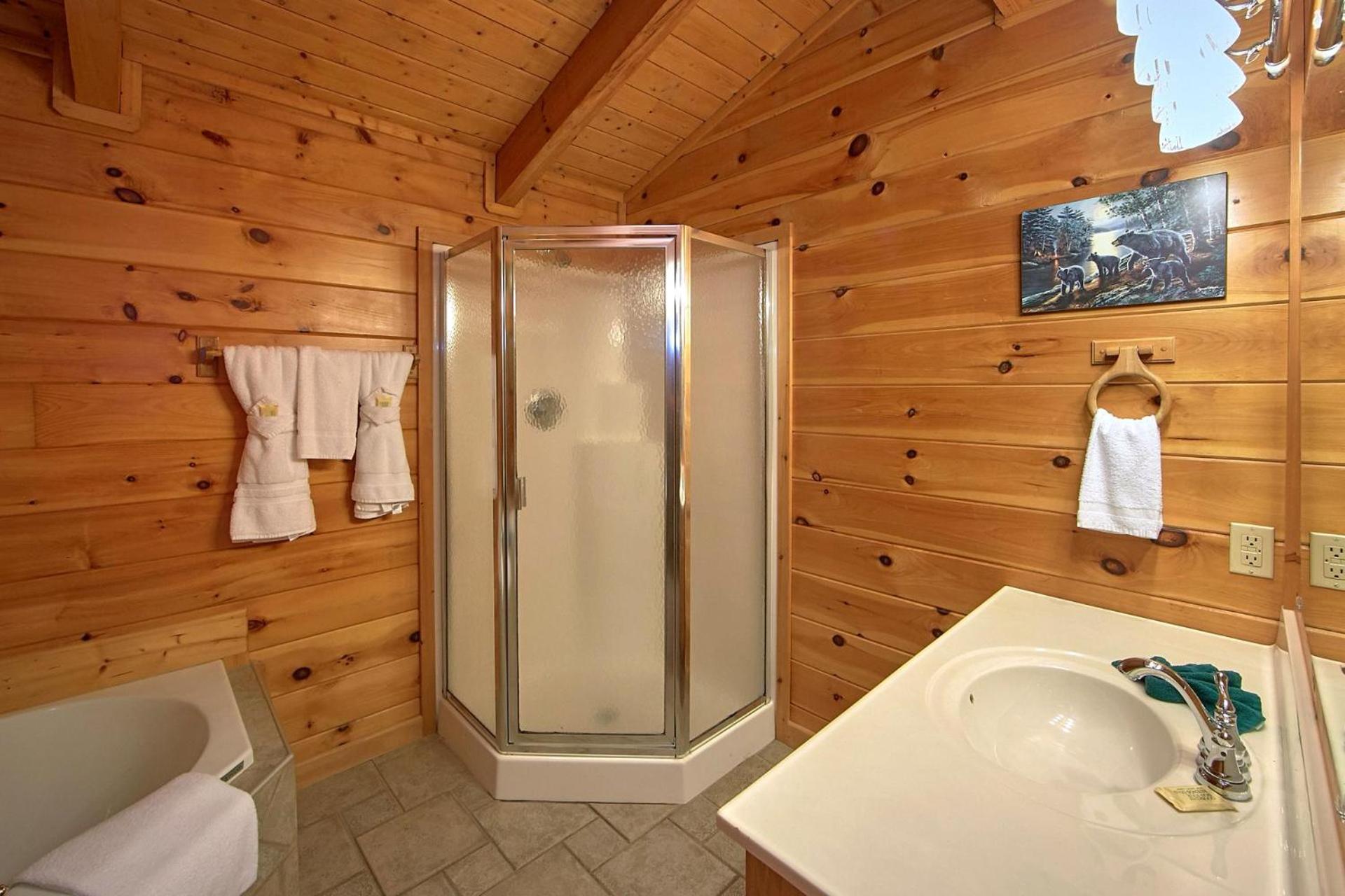Boulder Bear Lodge #355 비둘기 포지 외부 사진