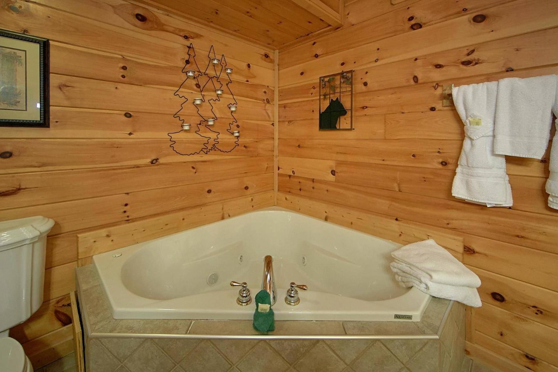 Boulder Bear Lodge #355 비둘기 포지 외부 사진